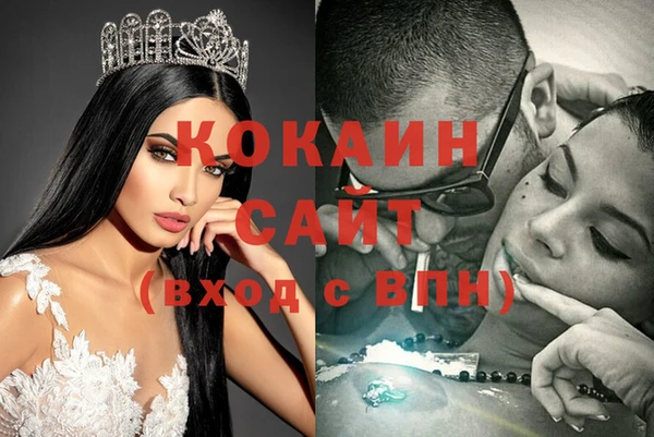 сатива Волоколамск