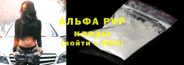 сатива Волоколамск
