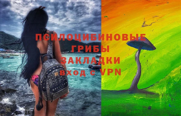 сатива Волоколамск
