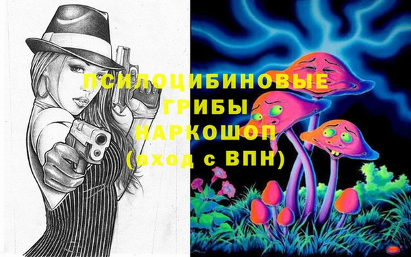сатива Волоколамск